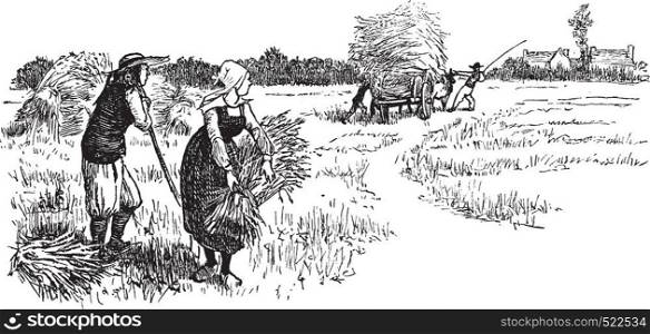 Harvest in Brittany, vintage engraved illustration. Journal des Voyages, Travel Journal, (1879-80).