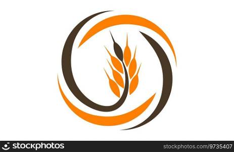 Harvest Logo Design Template Vector