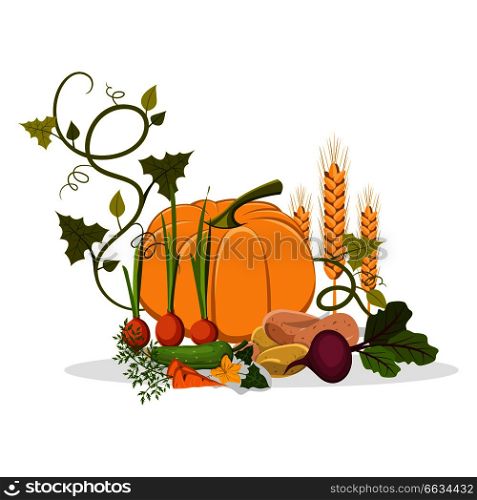 Harvest of sprouted onion, ripe pumpkin, green cucumber, sweet beet, healthy carrot, new and pink potato and bread spike vector illustration.. Rich Harvest of Delicious Vegetables and Plants