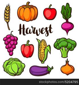 Harvest set of fruits and vegetables. Autumn seasonal illustration. Harvest set of fruits and vegetables. Autumn seasonal illustration.
