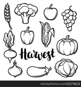 Harvest set of fruits and vegetables. Autumn seasonal illustration. Harvest set of fruits and vegetables. Autumn seasonal illustration.