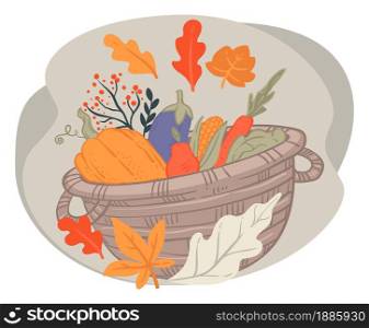Harvested vegetables gathered in woven basket. Pumpkin and aubergine or eggplant, carrot and corn veggies in fall season. Thanksgiving holiday preparation, ingredients for dishes. Vector in flat. Basket with harvested vegetables, autumn pumpkin and aubergines