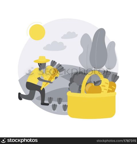 Harvesting abstract concept vector illustration. Collecting crops and vegetables, crop rotation, sustainable gardening, growing season, gestation period, homegrown food abstract metaphor.. Harvesting abstract concept vector illustration.