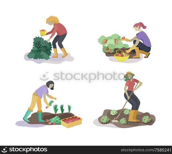 Harvesting and gardening people doing farming and garden job, pick berries, remove weeds, watering, planting, growing and transplant sprouts, lay ripe vegetables to box. Reaping crop concept. Harvesting and gardening people doing farming and garden job, pick berries, remove weeds, watering, planting, growing and transplant sprouts, lay ripe vegetables to box. Reaping crop