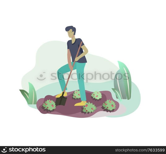 Harvesting and gardening people, man doing farming and garden job, dig and remove weeds, planting, growing and transplant sprouts. Spring concept. Harvesting and gardening people doing farming and garden job, pick berries, remove weeds, watering, planting, growing and transplant sprouts, lay ripe vegetables to box. Reaping crop