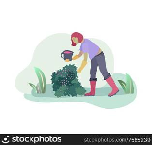 Harvesting and gardening people, woman doing farming and garden job, pick berries, remove weeds, watering, planting, lay ripe berries to box. Reaping crop concept. Harvesting and gardening people doing farming and garden job, pick berries, remove weeds, watering, planting, growing and transplant sprouts, lay ripe vegetables to box. Reaping crop