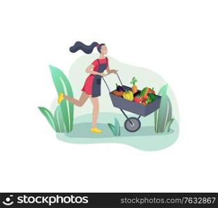 Harvesting and gardening people, woman doing farming and garden job, planting, lay ripe vegetables to box. Reaping crop concept. Harvesting and gardening people doing farming and garden job, pick berries, remove weeds, watering, planting, growing and transplant sprouts, lay ripe vegetables to box. Reaping crop