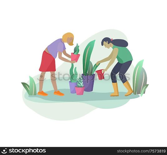 Harvesting and gardening people woman doing farming and garden job, remove weeds, watering, planting, growing and transplant sprouts. Spring concept. Harvesting and gardening people doing farming and garden job, pick berries, remove weeds, watering, planting, growing and transplant sprouts, lay ripe vegetables to box. Reaping crop