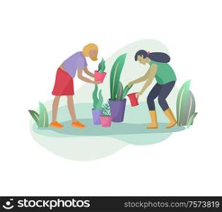 Harvesting and gardening people woman doing farming and garden job, remove weeds, watering, planting, growing and transplant sprouts. Spring concept. Harvesting and gardening people doing farming and garden job, pick berries, remove weeds, watering, planting, growing and transplant sprouts, lay ripe vegetables to box. Reaping crop