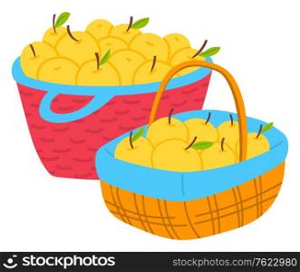 Harvesting apples in wicker basket, yellow fruit with leaves. Agricultural sign, sweet vegetarian product in pottle with handle, seasonal food vector. Apples in Wicker Basket, Harvesting Fruit Vector