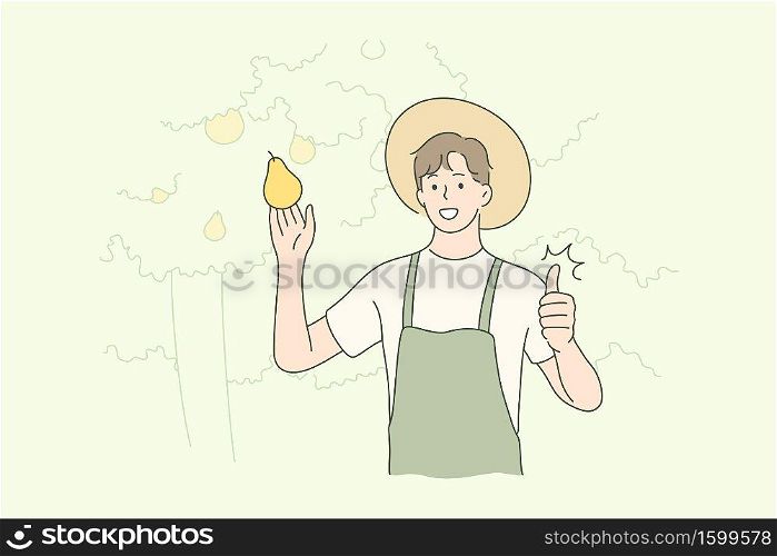 Harvesting, farming, agriculture, nature concept. Old man farmer agricultural worker character holding fruit pear showing like sign. Rural countryside lifestyle and natural food gathering illustration. Harvesting, farming, agriculture, nature concept.