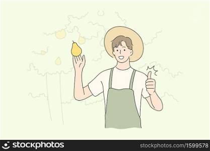 Harvesting, farming, agriculture, nature concept. Old man farmer agricultural worker character holding fruit pear showing like sign. Rural countryside lifestyle and natural food gathering illustration. Harvesting, farming, agriculture, nature concept.
