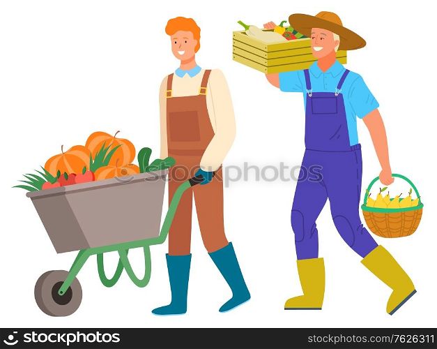 Harvesting man smiling character vector, isolated personage with carriage filled with veggies. Pumpkin and carrots, pear in woven basket. Farmers set. Flat cartoon. Harvesting Man Carrying Vegetables in Box Vector