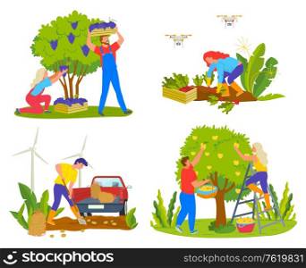 Harvesting people on field vector, man and woman picking grapes. Lady working on plantation with carrots, male harvest potatoes, pear trees fruits. Grape and Pear Garden, Beetroot and Potato Vector