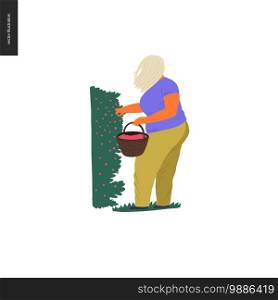 Harvesting people - vector flat hand drawn illustration of a stout blond woman collecting berries from high bush to the small basket. Self-sufficiency, farming and harvesting concept. Harvesting people set