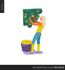 Harvesting people - vector flat hand drawn illustration of a young blond woman or girl wearing rubber boots collecting apples to the big basket. Self-sufficiency, farming and harvesting concept. Harvesting people set