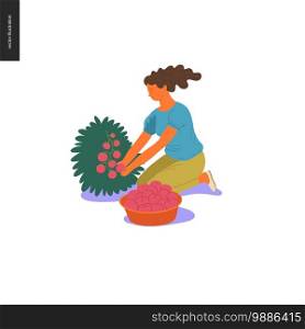 Harvesting people - vector flat hand drawn illustration of a young woman sitting on the ground squatting and collecting cherry tomatoes from the bush. Self-sufficiency, farming and harvesting concept. Harvesting people set