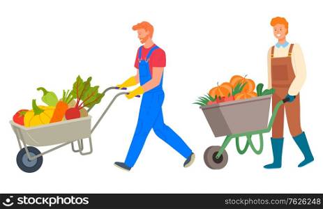 Harvesting season vector, isolated people pushing carts with vegetables. Beetroot and pumpkin, tomato and potato, veggies organic production of farm. Flat cartoon. Wheelbarrow Metal Cart Loaded with Vegetables