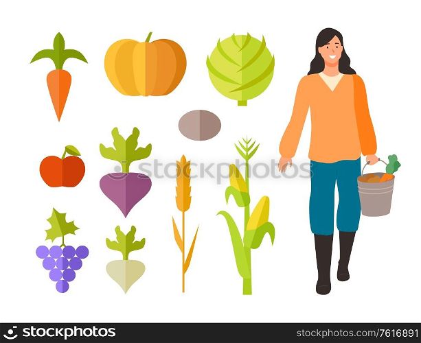 Harvesting season vector, isolated woman holding bucket with carrots. Flat style cabbage and tomato, beetroot and grapes, wheat and corn ingredients. Farming Woman with Bucket and Fruits Vegetables