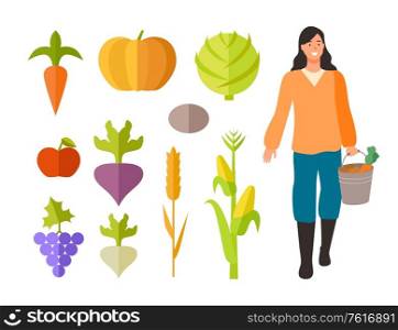 Harvesting season vector, isolated woman holding bucket with carrots. Flat style cabbage and tomato, beetroot and grapes, wheat and corn ingredients. Farming Woman with Bucket and Fruits Vegetables