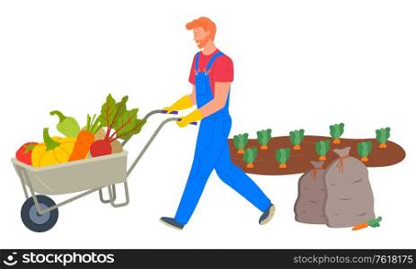 Harvesting season vector, man transporting products from plantation of carrots. Bag and pumpkin, beetroots and tomatoes in cart. Farming person in uniform. Farmer Pushing Cart Loaded with Vegetables Vector