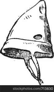 Hat, vintage engraved illustration.