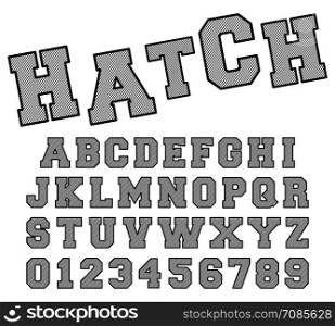 Hatch alphabet font template. Letters and numbers line design. Vector illustration.. Hatch alphabet font template. Letters and numbers line design
