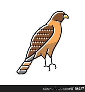 hawk bird color icon vector. hawk bird sign. isolated symbol illustration. hawk bird color icon vector illustration
