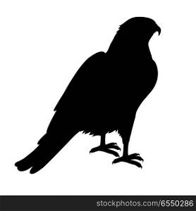 Hawk Flat Design Vector Illustration. Hawk vector. Predatory birds wildlife concept in black color. World fauna illustration for prints, posters, childrens books illustrating. Beautiful hawk seating isolated on white.