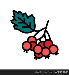 hawthorn berry color icon vector. hawthorn berry sign. isolated symbol illustration. hawthorn berry color icon vector illustration