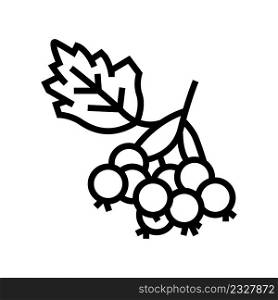 hawthorn berry line icon vector. hawthorn berry sign. isolated contour symbol black illustration. hawthorn berry line icon vector illustration