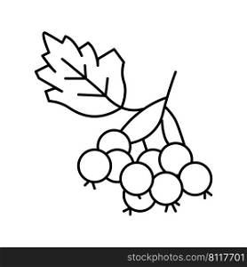 hawthorn berry line icon vector. hawthorn berry sign. isolated contour symbol black illustration. hawthorn berry line icon vector illustration