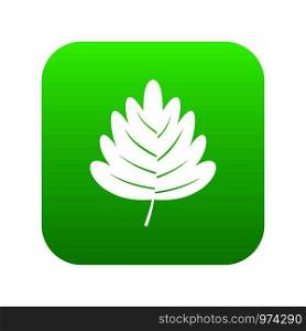Hawthorn leaf icon digital green for any design isolated on white vector illustration. Hawthorn leaf icon digital green