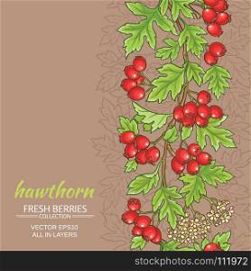 hawthorn vector background. hawthorn branches vector pattern on color background