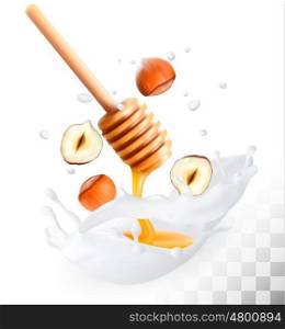 Hazelnut and honey in a milk splash on a transparent background. Vector.