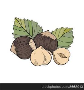 Hazelnut composition of several fruits and leaves. Icon for packaging or label