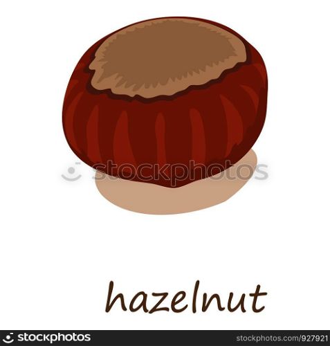 Hazelnut icon. Isometric illustration of hazelnut vector icon for web. Hazelnut icon, isometric 3d style