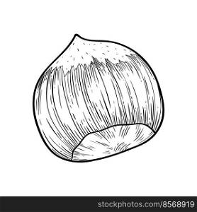 Hazelnut kernel in shell simple icon in sketch style. Hatched nuts for packaging or labels