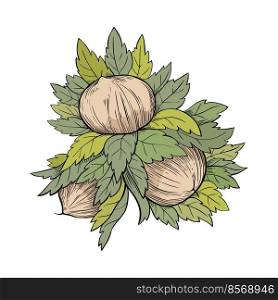 Hazelnut three young fruits. Colored nut icon for bars and products
