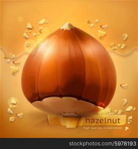 Hazelnut, vector background