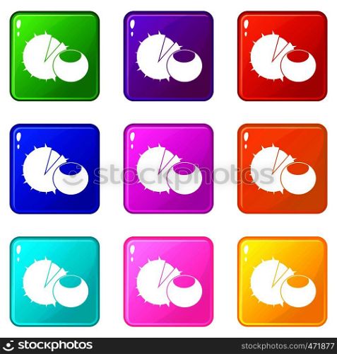 Hazelnuts icons of 9 color set isolated vector illustration. Hazelnuts icons 9 set