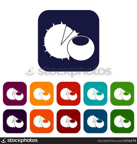 Hazelnuts icons set vector illustration in flat style In colors red, blue, green and other. Hazelnuts icons set