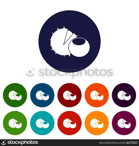 Hazelnuts set icons in different colors isolated on white background. Hazelnuts set icons