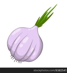 Hea<hy diet. Seasoning and herb. Vector Cartoon illustration. E≤ment of harvest. Garlic. Sπcy ve≥tab≤. Natural∏uct.