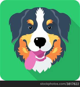 head dog Bernese Mountain Dog icon flat design