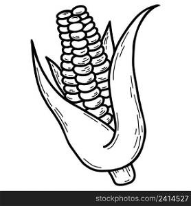 Head of corn with leaves. Beautiful ripe corn fruit. Vector illustration. Linear hand drawing, outline design and decoration, menu design and recipes