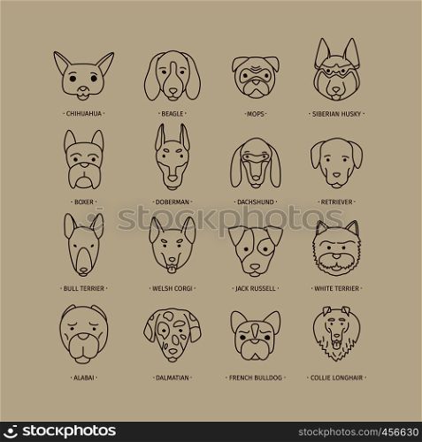 Head of dog and puppy set. Vector hand drawn dog breeds. Head of dog and puppy set