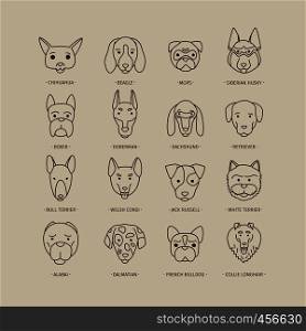 Head of dog and puppy set. Vector hand drawn dog breeds. Head of dog and puppy set