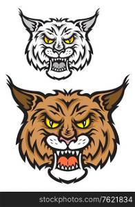 Head of lynx or bobcat for sport team mascot design with angry emotions