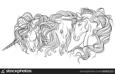 Heads of three unicorns with a long manes. Vector black and white contour illustration for coloring page. For the design of prints, posters, postcards, stickers, tattoo, t-shirt design, logo, sign. Unicorns heads vector illustration coloring book page